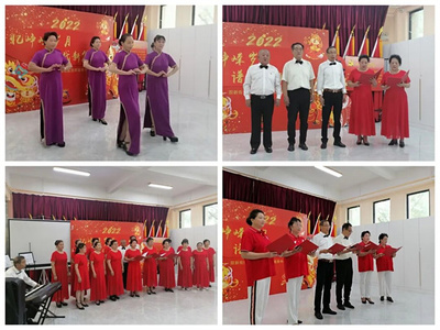 红色七一，为党献礼 双新街欣盛家园社区文艺汇演精彩回顾