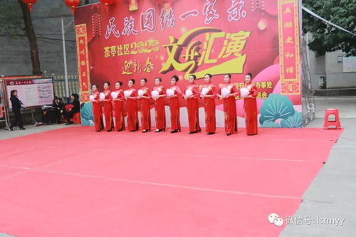 党员文艺展风采 志愿服务暖人心——我院党员志愿者社区文艺表演侧记